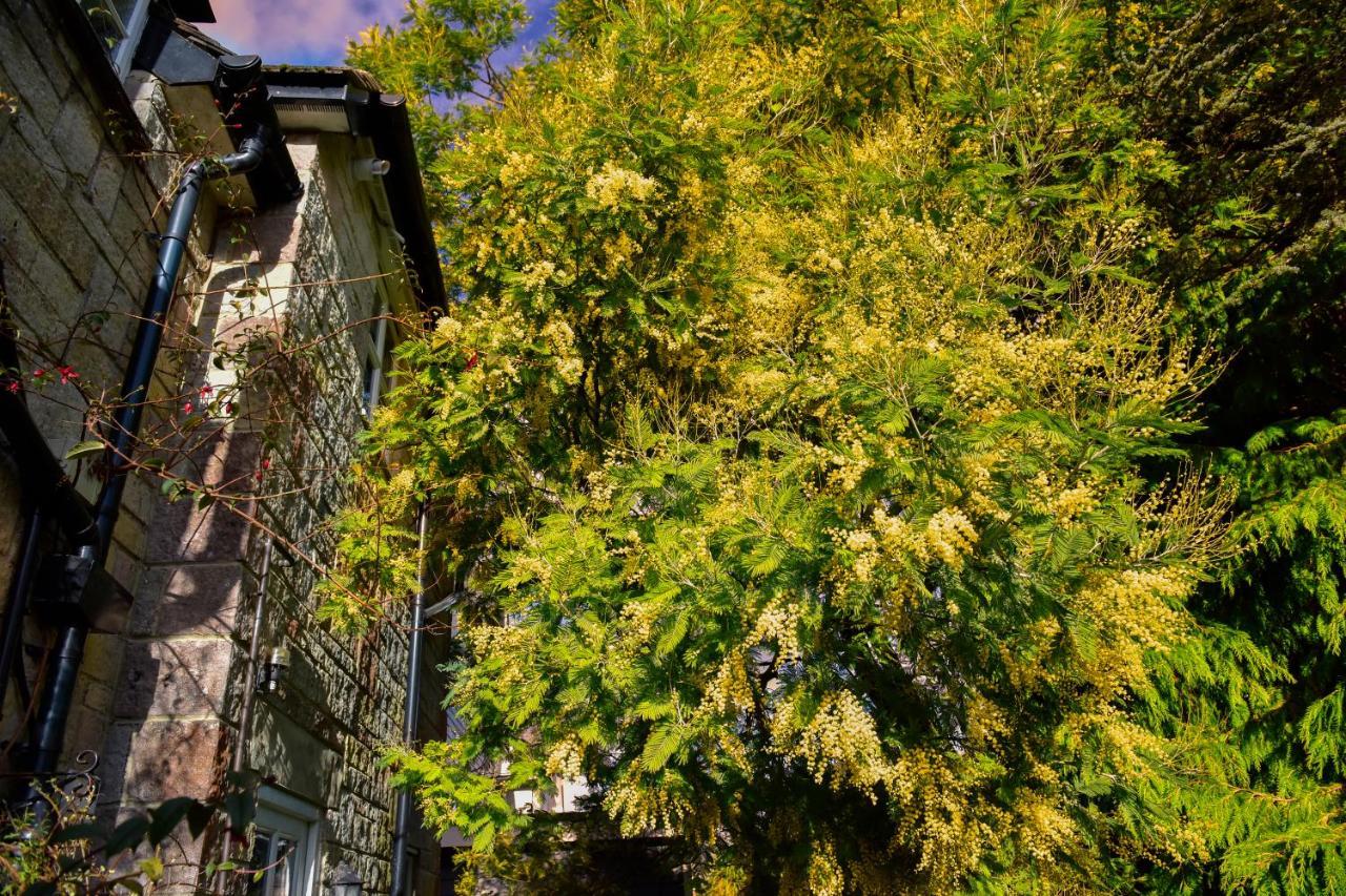 Ward Avenue B&B Cowes  Zewnętrze zdjęcie