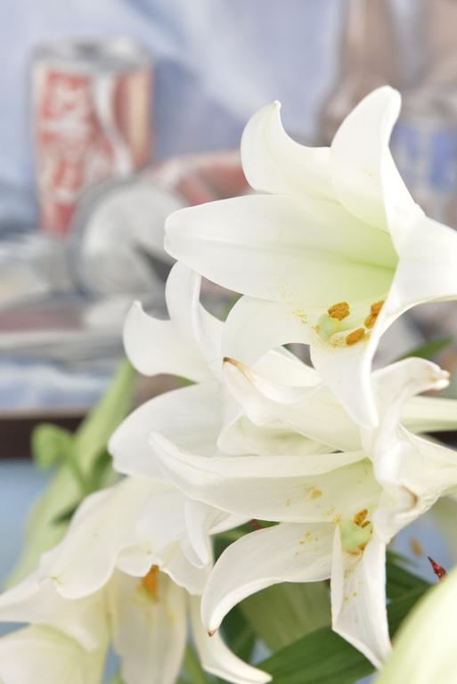 Ward Avenue B&B Cowes  Zewnętrze zdjęcie